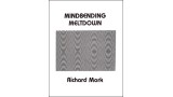 Mindbending Meltdown by Richard Mark