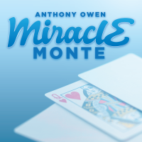 Miracle Monte by Nyman Anthony Owen