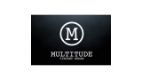 Multitude by Vincent Hedan & System 6