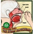 Nail In Nose by Human Blockhead Nail In Nose by Human Blockhead