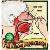 Nail In Nose by Human Blockhead