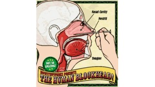 Nail In Nose by Human Blockhead