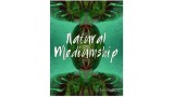 Natural Mediumship by Jerome Finley