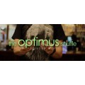 The Optimus Shuffle by Chris Brown The Optimus Shuffle by Chris Brown
