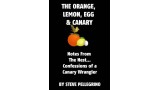 The Orange, Lemon, Egg And Canary by Steve Pellegrino