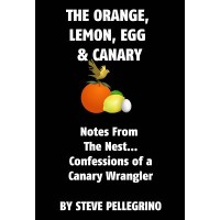 The Orange, Lemon, Egg And Canary by Steve Pellegrino