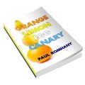 Orange, Lemon, Egg - Canary by Paul Romhany Orange, Lemon, Egg - Canary by Paul Romhany