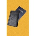Passport by David Regal Passport by David Regal