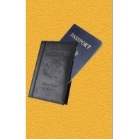 Passport by David Regal