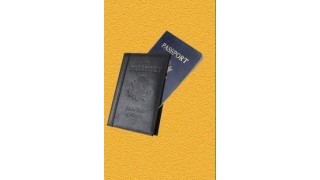 Passport by David Regal