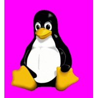 Penguin Magic Collection