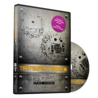 The Perfect World by Mago Migue