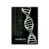 Perfection by Oz Pearlman