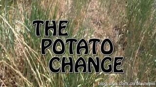 Potato Change by Gerald Robinson