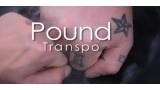 Pound Transpo by Nicholas Lawrence