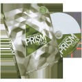 Prism by Wayne Goodman Prism by Wayne Goodman