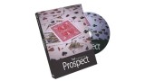 Prospect by Sansminds