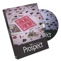 Prospect by Sansminds