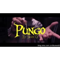 Pungo by Sean Oulashin