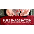Pure Imagination by Scott Robinson Pure Imagination by Scott Robinson