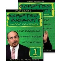 Scripted Insanity by Larry Davidson