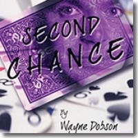 Second Chance by Wayne Dobson