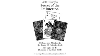 Secret Of The Palmettos by Jeff Busby