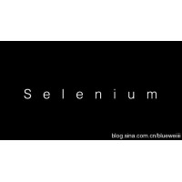 Selenium by Dom Corrado