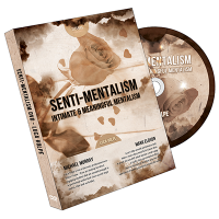 Senti-Mentalism by Luca Volpe