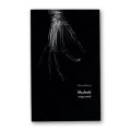 Shalosh - Stage Work by Nimrod Harel Shalosh - Stage Work by Nimrod Harel