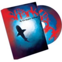 The Shark by Christopher Ballinger