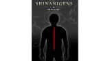 Shinanigens (1-2) by Shin Lim