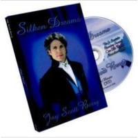Silken Dreams by Jay Scott Berry