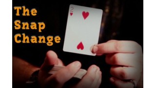 The Snap Change by Michael Hankins