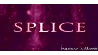 Splice by Shin Lim