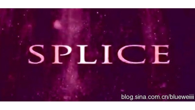 Splice by Shin Lim