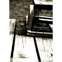 Springboard by Michael Murray