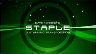 Staple by David Forrest