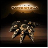Tarantula by Yigal Mesika