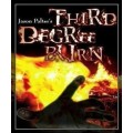 Third Degree Burn by Jason Palter Third Degree Burn by Jason Palter