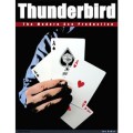 Thunderbird by Lee Asher Thunderbird by Lee Asher
