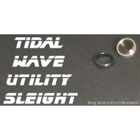 Tidal Wave Tidal Fight by Justin Miller