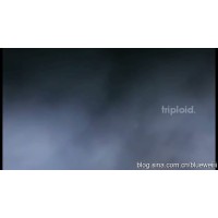 Triploid by Tim Strobel & Matthias Dengler