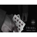 Trixel by Valdemar Gestur Trixel by Valdemar Gestur