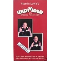 Undivided by Martin Lewis