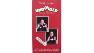 Undivided by Martin Lewis