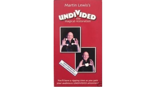 Undivided by Martin Lewis