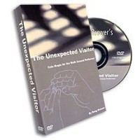 The Unexpected Visitor (1-2) by Doug Brewer