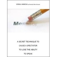 Verbal Amnesia by Mike Kempner