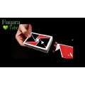 The Virts Card Flourish The Virts Card Flourish